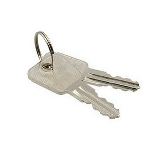 SK25-03A key